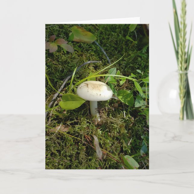 Pilz im Wald Karte (Vorderseite)