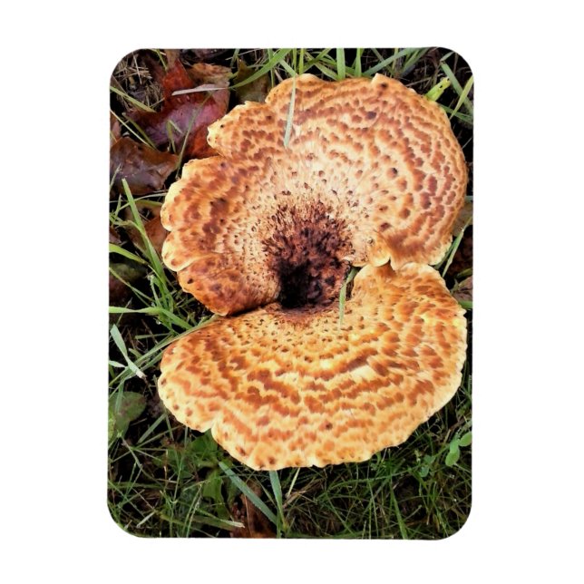 Pilz im Wald Magnet (Vertikal)