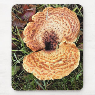 Pilz im Wald Mousepad
