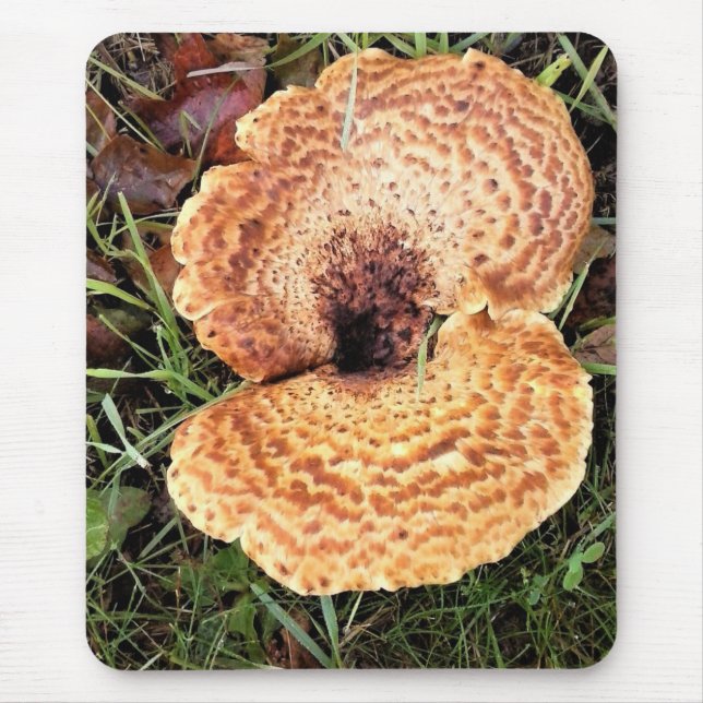 Pilz im Wald Mousepad (Vorne)