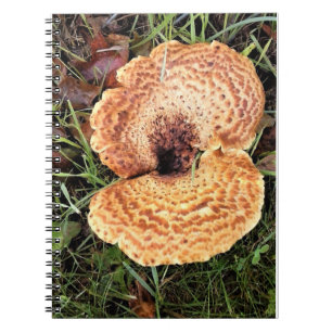 Pilz im Wald Notizblock