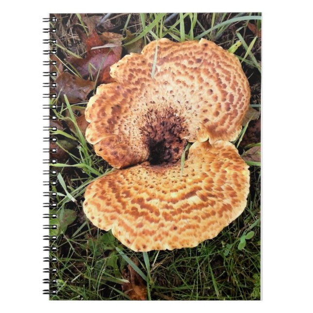 Pilz im Wald Notizblock (Vorderseite)