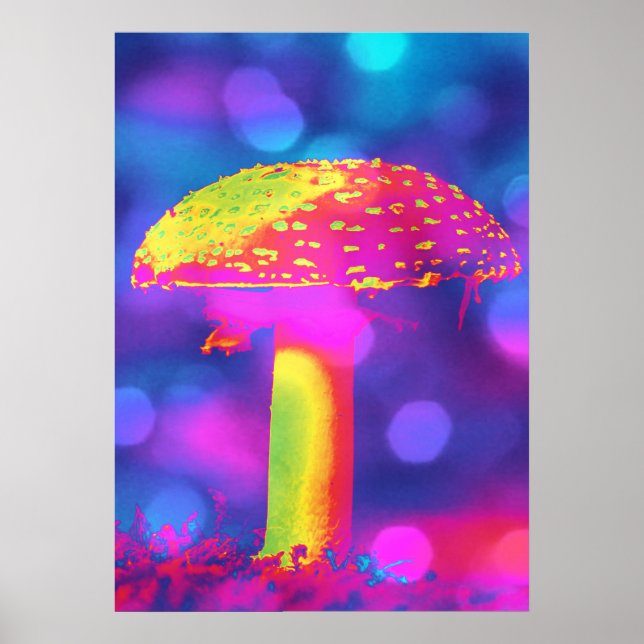 Pilz in den Lichtern Poster (Vorne)
