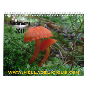 Pilz-Kalender 2011 Kalender
