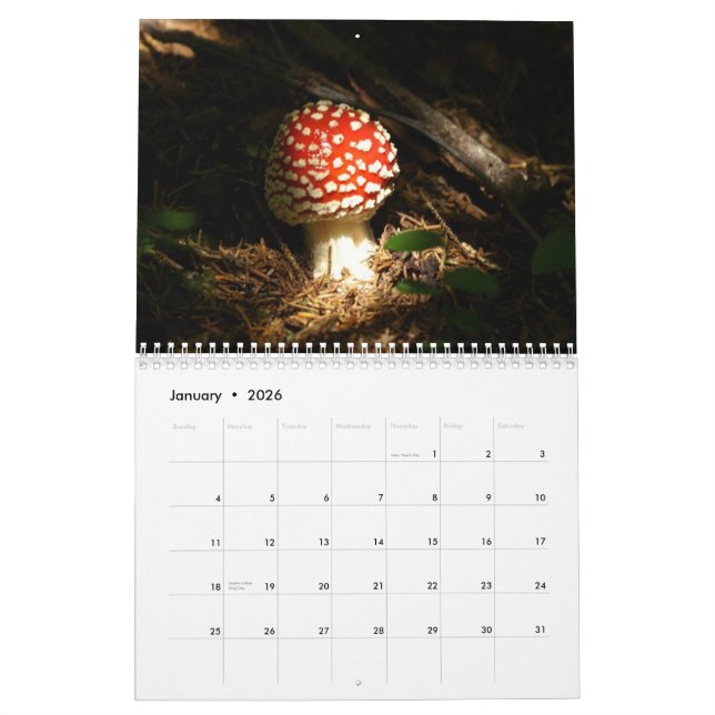 Pilz-Kalender Kalender (Jan 2026)