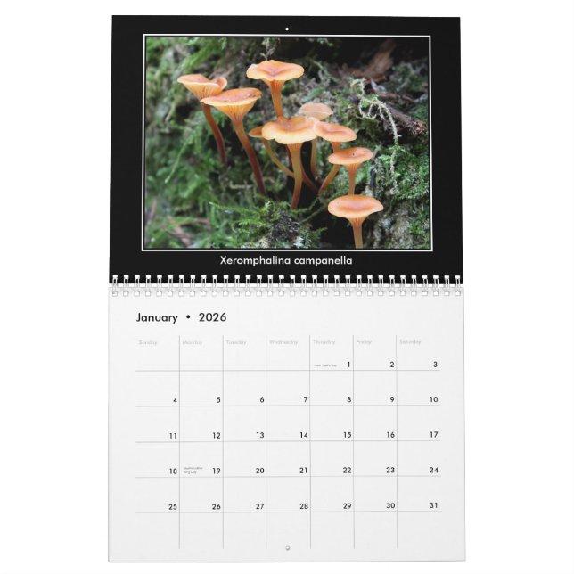 Pilz-Kalender Kalender (Jan 2026)
