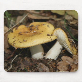 Pilz-Mäusematte Mousepad