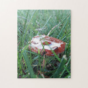 Pilz mit Morgentau-Puzzle