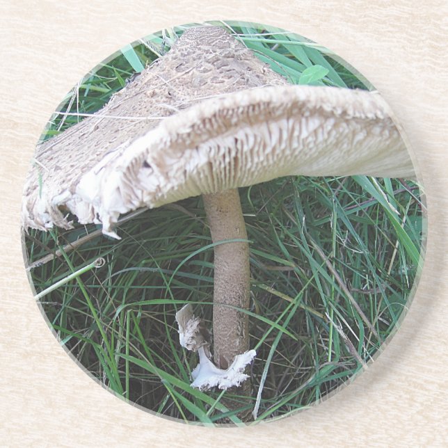 Pilz mit Ō Hut Untersetzer (Vorne)