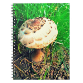 Pilz-Notebook Notizblock