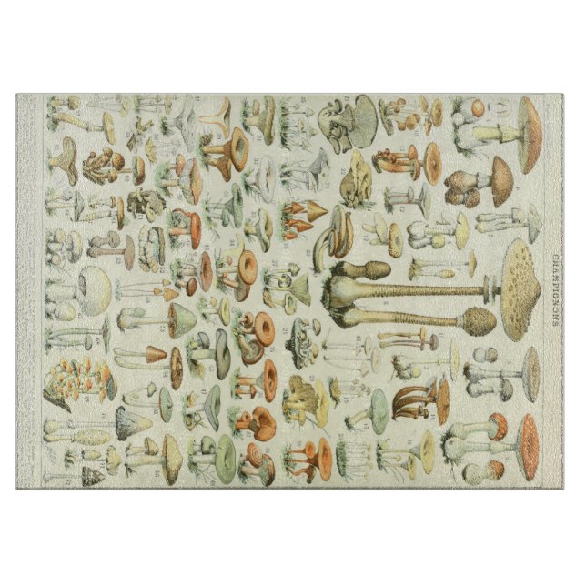 Pilz-Schneidebrett Schneidebrett (Vorderseite)