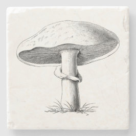 Pilz Steinuntersetzer