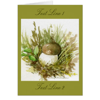 Pilz-Studien-Aquarell nach Beatrix Potter