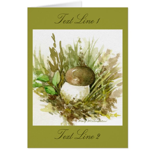 Pilz-Studien-Aquarell nach Beatrix Potter (Vorne)