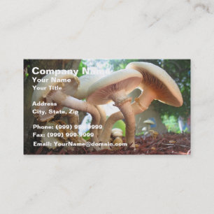 Pilz-Tanzen Visitenkarte