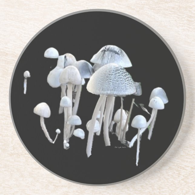 Pilz Untersetzer (Vorne)