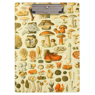 Pilz Vintage Toadstool Antike Kunst Klemmbrett