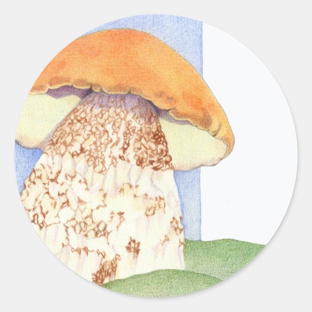 Pilzaufkleber Runder Aufkleber (Vorderseite)