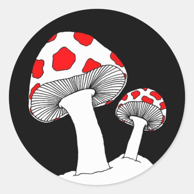 Pilzaufkleber Runder Aufkleber (Vorderseite)