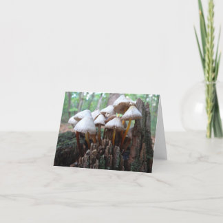Pilze auf einem alten Stumpf Notecard Karte