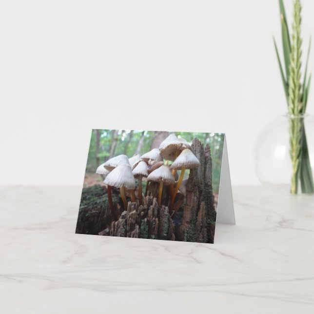 Pilze auf einem alten Stumpf Notecard Karte (Vorderseite)