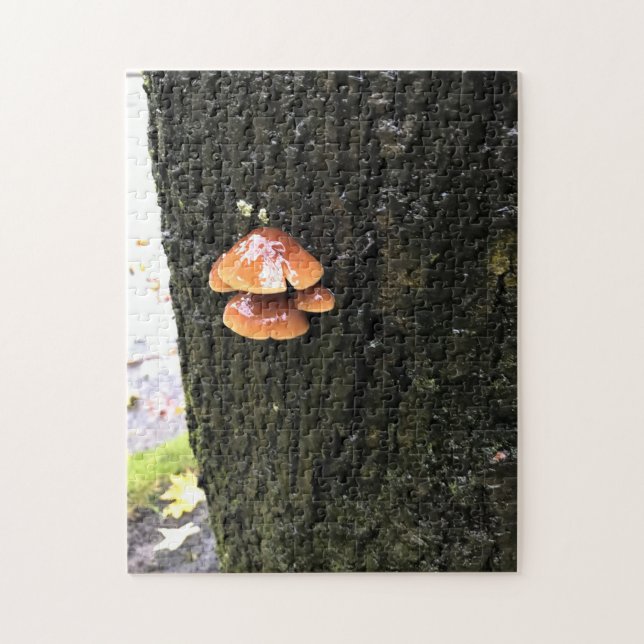 Pilze auf einem Baum, Oregon (Vertikal)