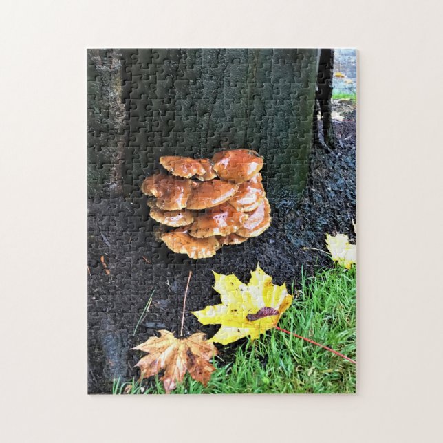 Pilze auf einem Baum, Oregon (Vertikal)