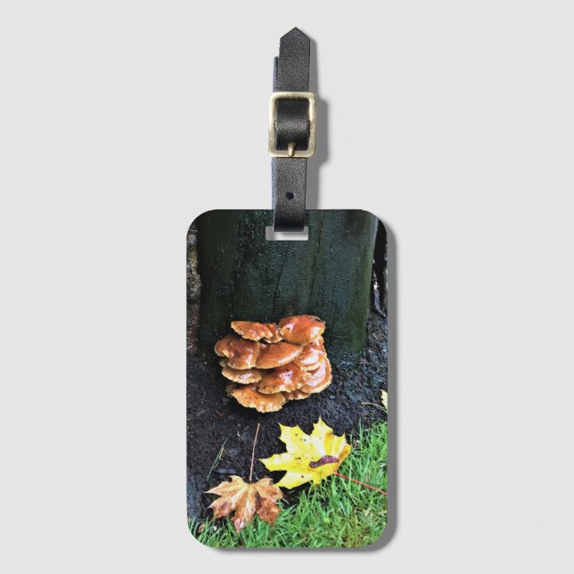Pilze auf einem Baum, Oregon Gepäckanhänger (Vorderseite Vertikal)
