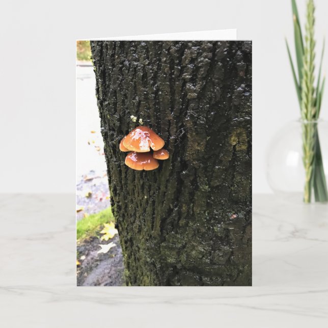 Pilze auf einem Baum, Oregon Karte (Vorderseite)