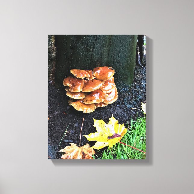 Pilze auf einem Baum, Oregon Leinwanddruck (Vorderseite)