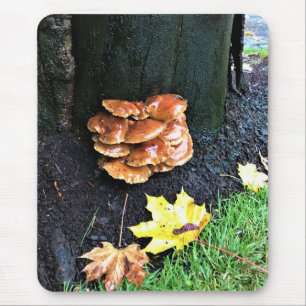 Pilze auf einem Baum, Oregon Mousepad