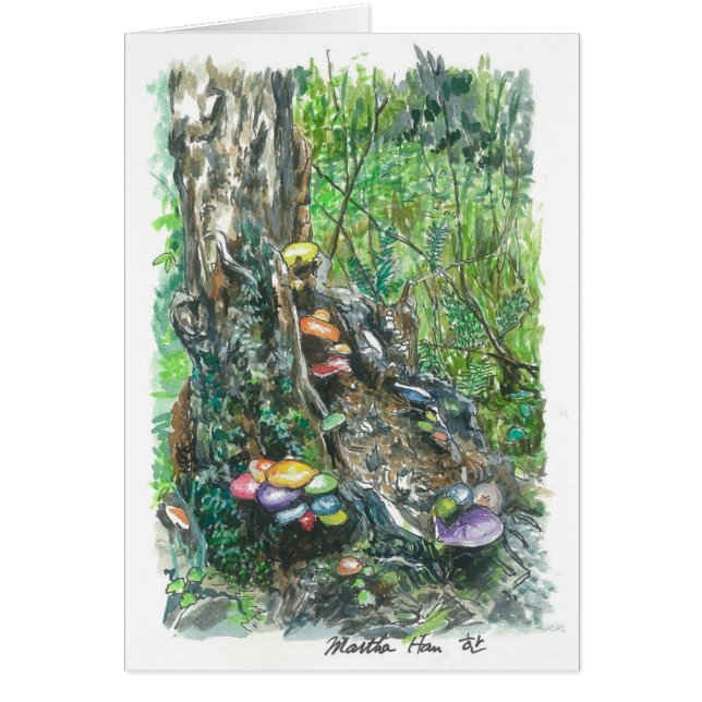 Pilze auf einem verfallenden Baumstamm (Vorne)