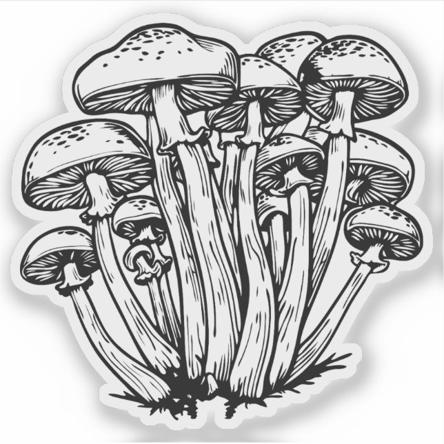 Pilze Aufkleber (Vorderseite)