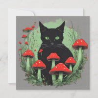 Pilze aus dem Schwarzen Kat und dem Roten Wald