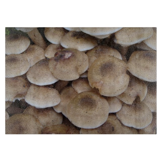 Pilze, die in einer Cluster-Originalkunst aus Foto Schneidebrett (Vorderseite)