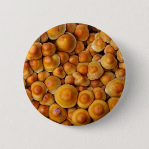 Pilze Fungus Button