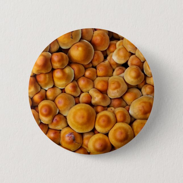 Pilze Fungus Button (Vorderseite)