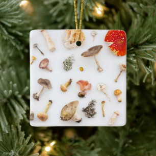 Pilze Fungus Keramikornament