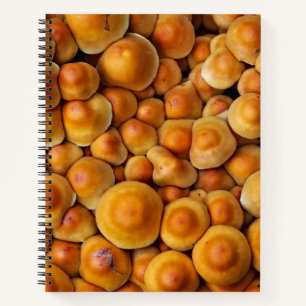 Pilze Fungus Notizbuch