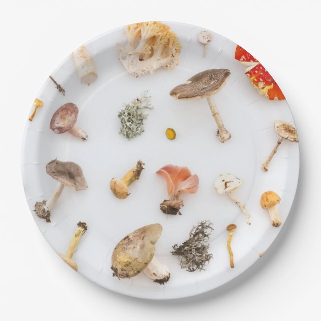 Pilze Fungus Pappteller (Vorderseite)