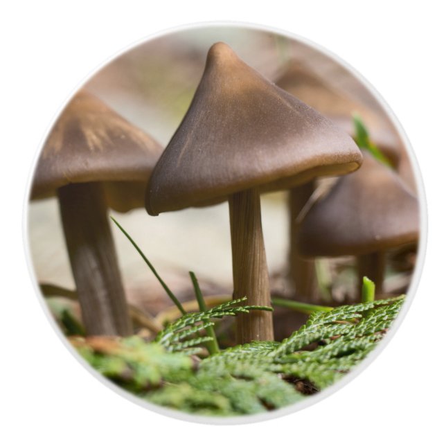 Pilze im Wald Keramikknauf (Vorderseite)