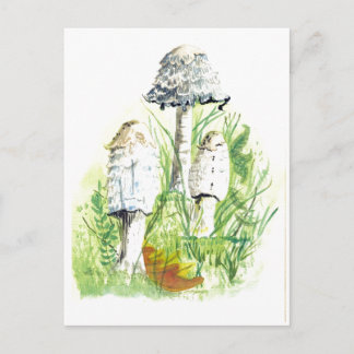 Pilze in der Natur - Aquarellkunst Postkarte