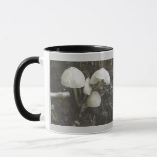 Pilze in der Tasse