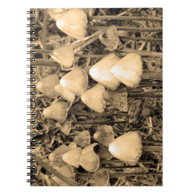 Pilze in Sepia Notizblock (Vorderseite)