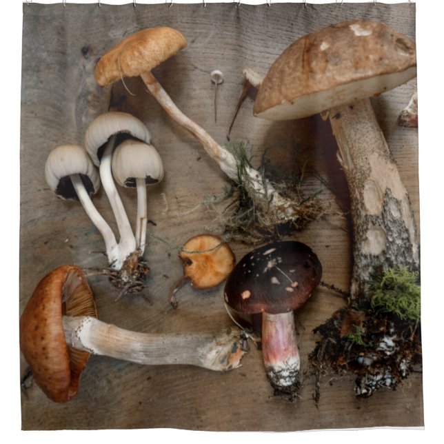 Pilze Liebe Fungi Duschvorhang (Vorderseite)