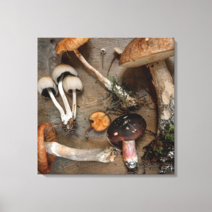 Pilze Liebe Fungi Leinwanddruck