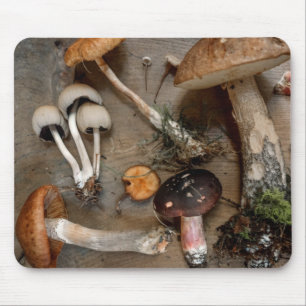 Pilze Liebe Fungi Mousepad