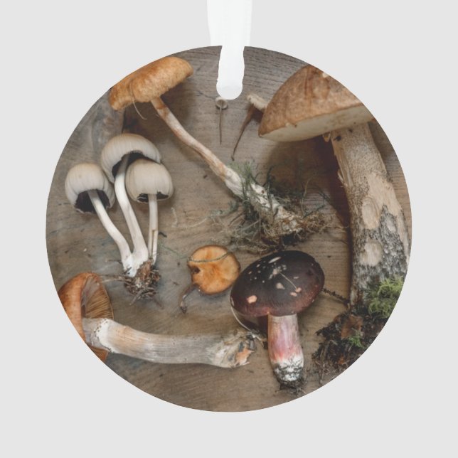 Pilze Liebe Fungi Ornament (Rückseite)