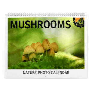 Pilze Naturfotos 2027 Kalender