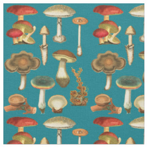 Pilze Pilze Fungi Pflanze Kollektion Botanischer G Stoff